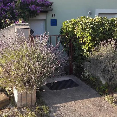 House Apartment